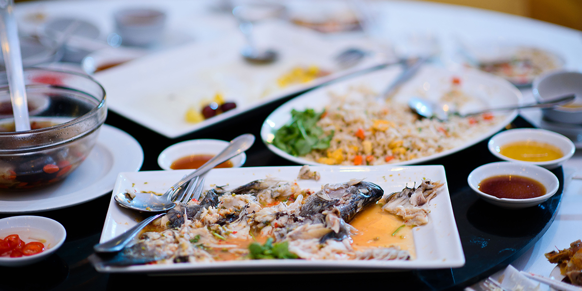 What is allowed to put into bokashi bin and what should you avoid?